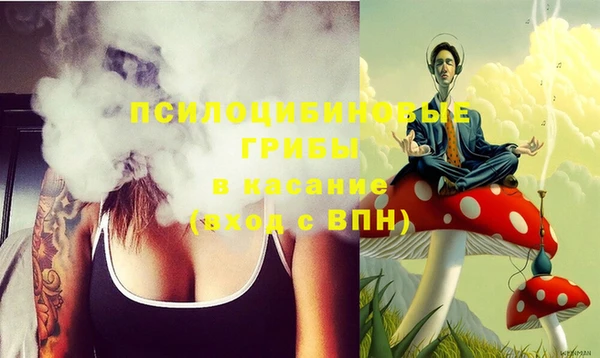 бошки Краснослободск